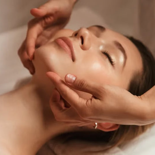 Sienna X - Professional