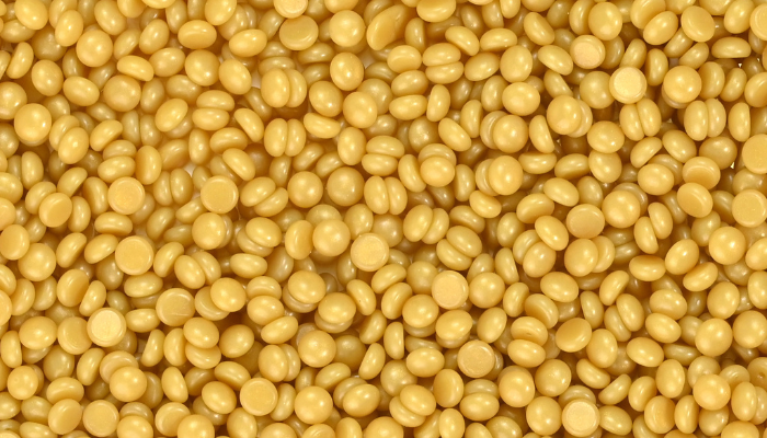 Sienna X - Professional