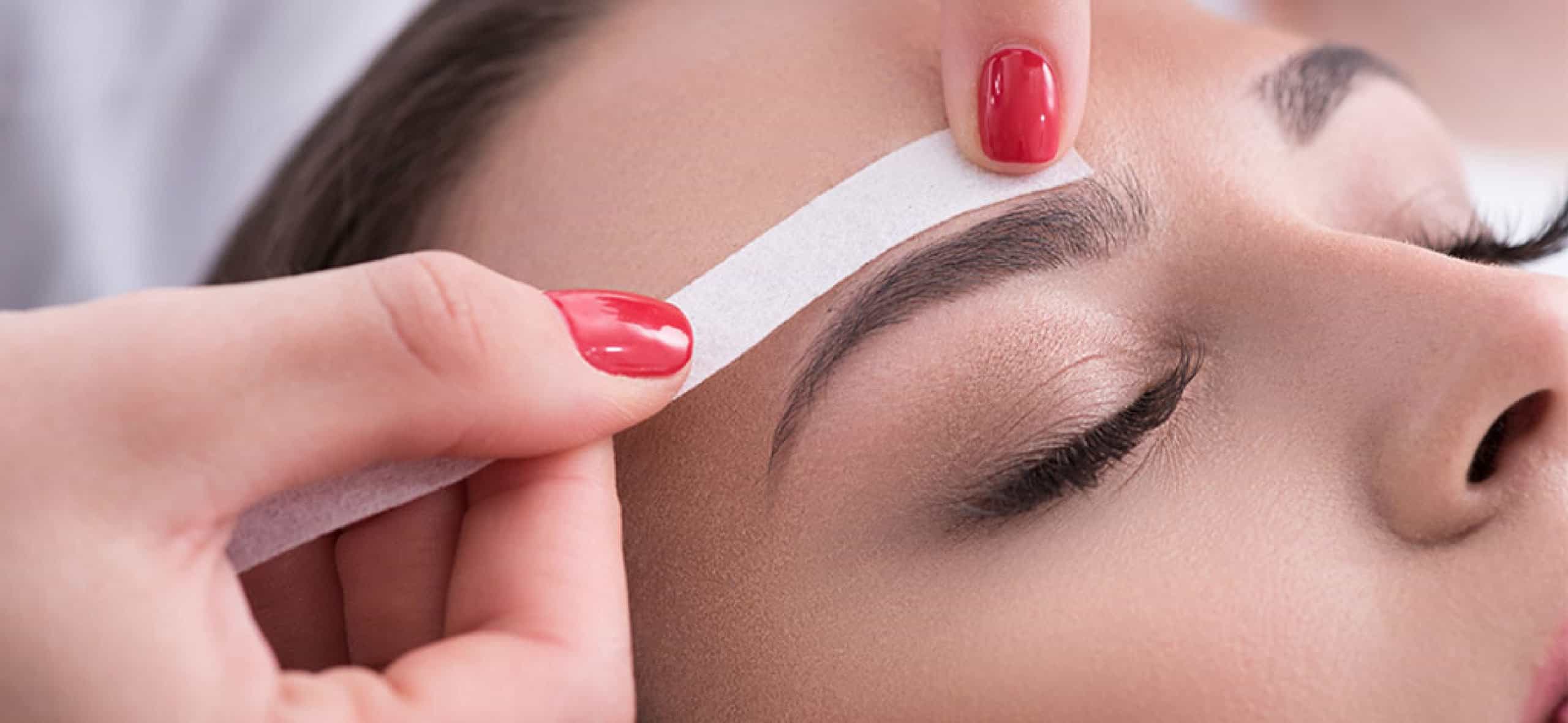 Sienna X - Professional