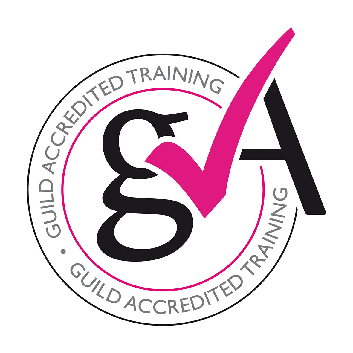 Sienna X - Professional