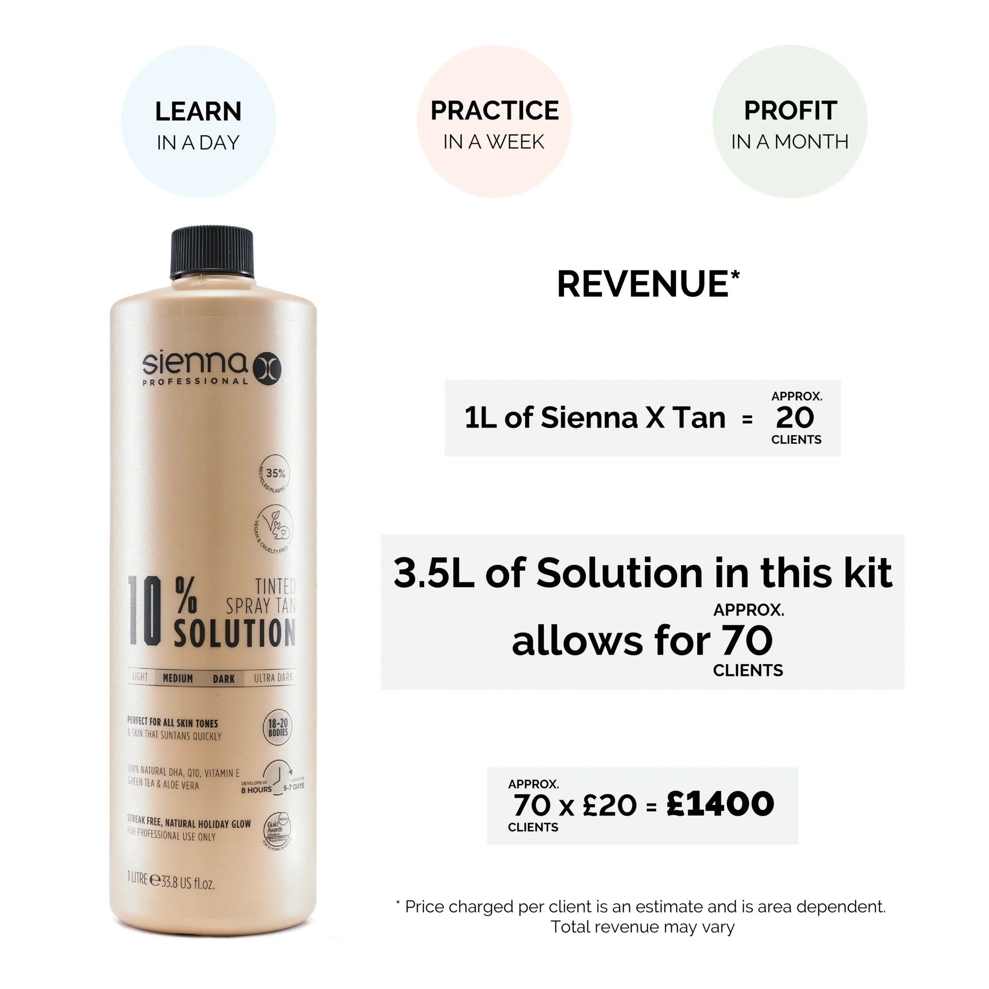 Silver Spray Tan Business Kit Revenue