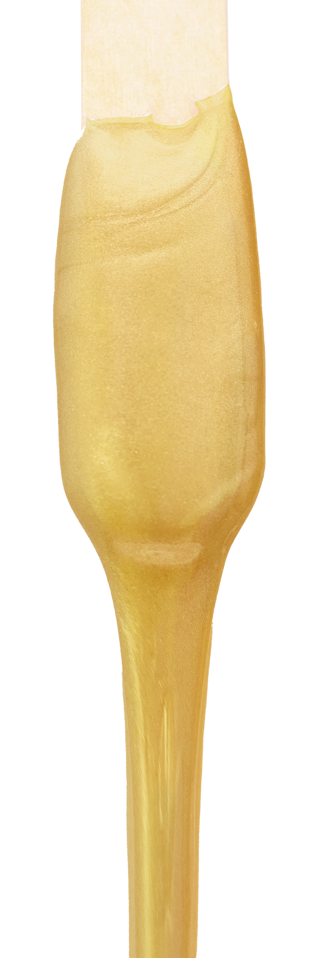 Honey Gold Warm Wax (450G)