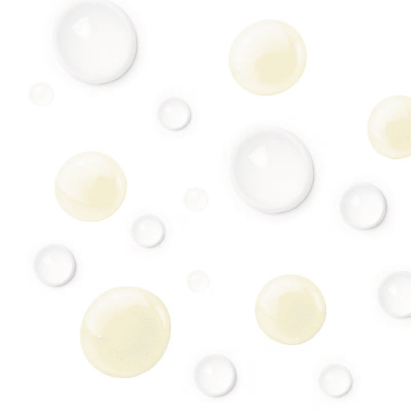 Sienna X - Professional