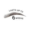 Brow Tint Kit Ash . Lasts up to weeks